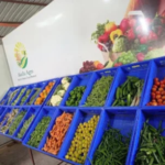 Akella Agro